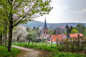 Auf Wander- und Pilgertour durch den Harz  Klosterwanderweg von Goslar bis nach Quedlinburg | 07. - 14. Mai 2023
